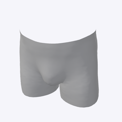 Boxers Stand Pose Thin